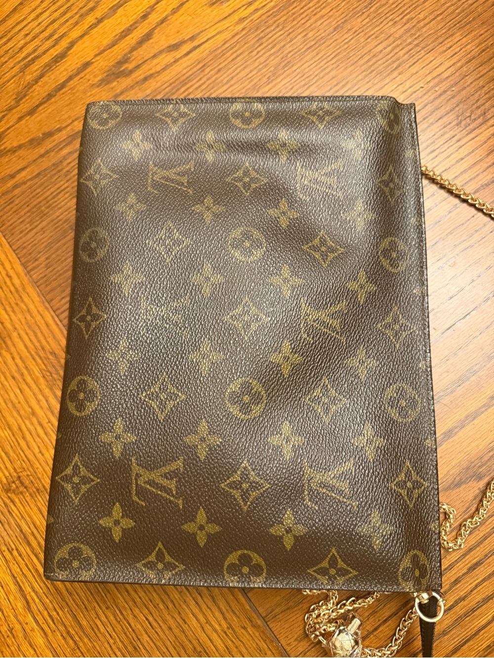 Louis Vuitton Monogram Canvas Pouch with Gold Chain - Picture 6 of 7